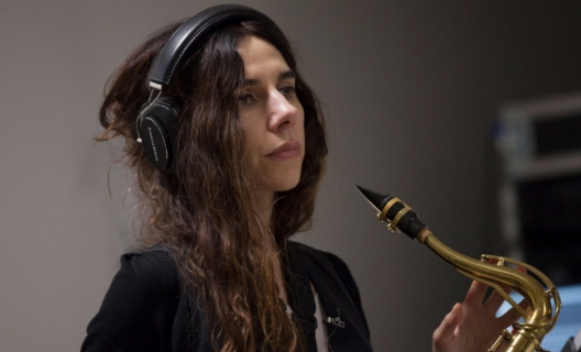 PJ Harvey / A Dog Called Money