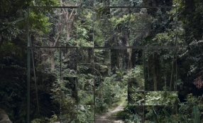 Noémie Goudal Les Mécaniques I-III Série "Les Mécaniques", 2016.