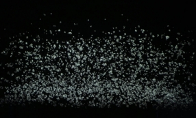 Ryoichi Kurokawa - MOL