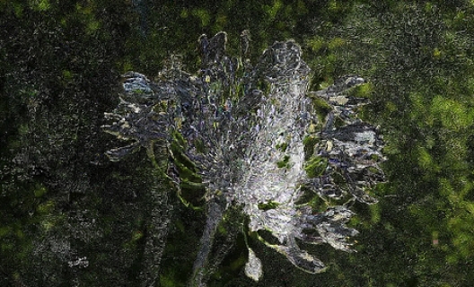 Dépaysages © Jacques Perconte Dépaysages © Jacques Perconte